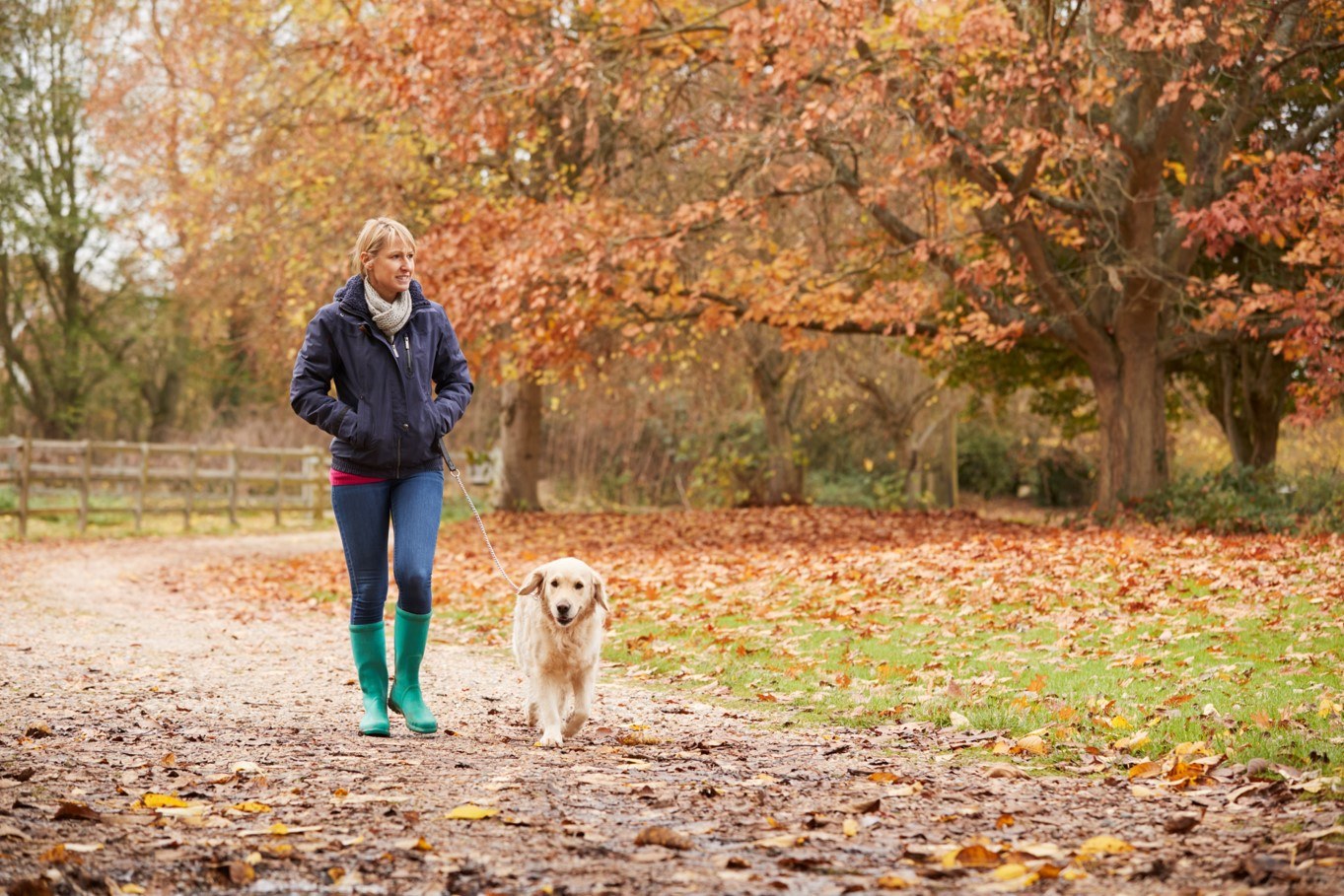 Woman walking dog
